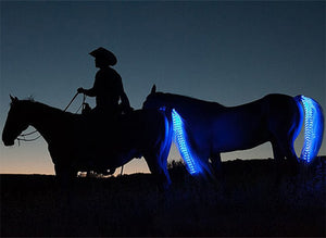 LTLHORSE™: LED HORSE TAIL LIGHTS