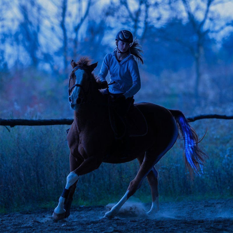 LTLHORSE™: LED HORSE TAIL LIGHTS