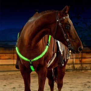 LED Horse Harness