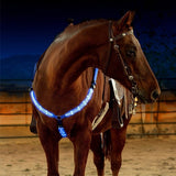 LED Horse Harness